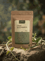 Cissus quadrangularis ekstrakt 4:1