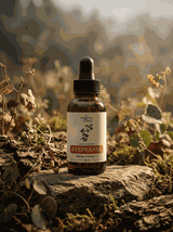 Stephania tetrandra nalewka 1:1