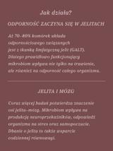 Mieszanka Zdrowe Jelita