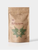 Bylica roczna