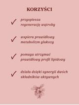Berberyna z sylimaryną 100 kapsułek