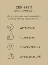 Żeń-szeń syberyjski kapsułki x 400 mg