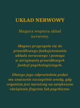Cytrynian magnezu 100 kapsułek x 700mg