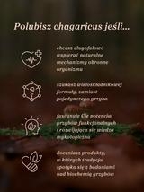 Eliksir Chagaricus