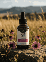 Echinacea angustifolia nalewka 1:1 50 ml