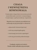 Czaga - guz brzozy