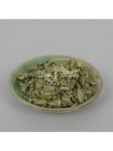 Moringa liść