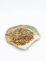 Chanca piedra ziele