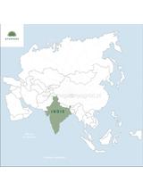Rubia cordifolia - manjistha