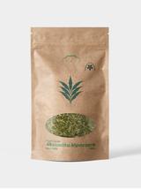 Aksamitka błyszcząca