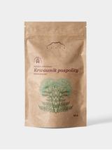 Krwawnik pospolity kwiat