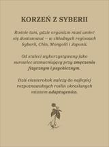 Żeń-szeń syberyjski kapsułki x 400 mg