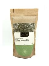 Bylica pospolita ziele