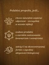 Propolis krople 20%