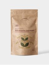 Rdestowiec japoński kłącze