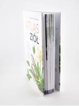 Atlas ziół- Aleksandra Halarewicz