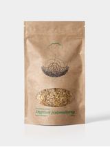 Dyptam korzeń - krzew Mojżesza