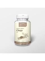 Chaga ekstrakt 100 kapsułek x 300mg