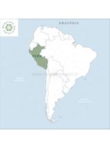 Flor de arena
