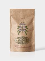 Andrographis paniculata