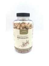 Rdestowiec 500+ kapsułki  x 500 mg