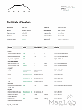 Żagwica listkowata (maitake) ekstrakt 100 kapsułek x 500mg