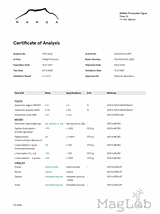 Mumio shilajit himalajskie