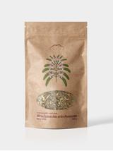 Andrographis paniculata