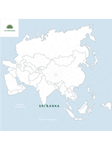 Olejek imbirowy BIO 100% eteryczny Nanga spożywczy