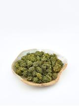 Sanchi kwiat