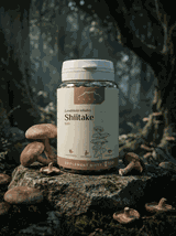 Shiitake ekstrakt 100 kapsułek x 500 mg