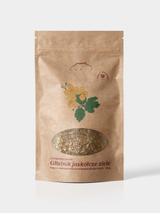 Glistnik jaskółcze ziele kłącze