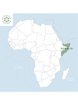 Olejek olibanum BIO 100% eteryczny Nanga