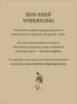 Żeń-szeń syberyjski nalewka 1:1