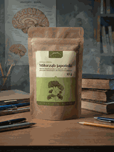 Ginkgo biloba ekstrakt 24% / 6%