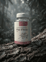 Pau d’Arco 100 kapsułek x 600 mg