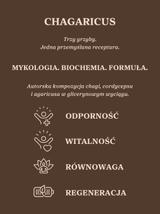 Eliksir Chagaricus