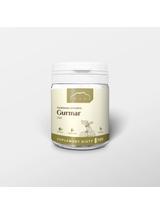 Gurmar 100 kapsułek x 200 mg