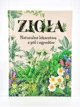 Zioła - Naturalne lekarstwa z pól i ogrodów