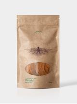 Reishi grzyb