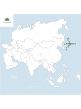 Herbata zielona - Japan Genmaicha