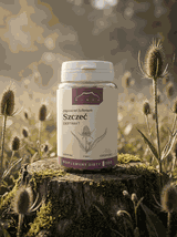 Szczeć ekstrakt 100 kapsułek x 500mg