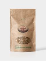 Szałwia czerwona korzeń