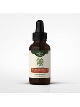 Sarsaparilla nalewka 1:1