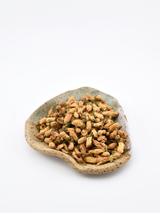 Pomarańcza gorzka