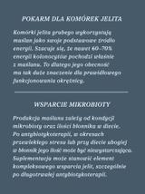 Maślan sodu 100  kapsułek x 400 mg