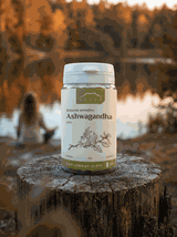 Ashwagandha kapsułki x 400 mg