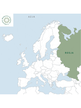 Różeniec górski korzeń - rhodiola