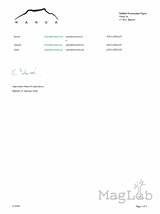 Cynamon cejloński kwiat