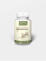 Rdestowiec 500+ kapsułki  x 500 mg